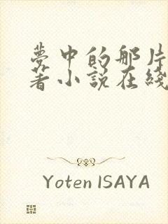 梦中的那片海原著小说在线阅读