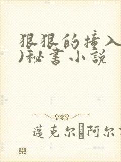 狠狠的撞入(h)秘书小说