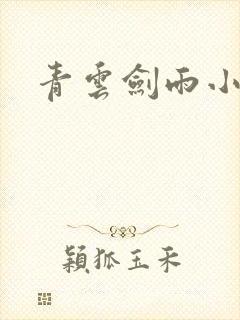 青云剑雨小说