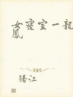 女寝室一龙战5凤