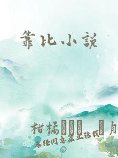 靠比小说