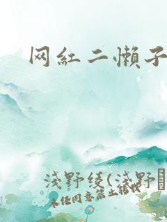 网红二懒子车祸