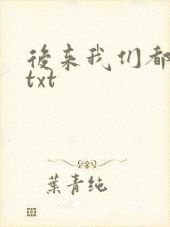 后来我们都哭了txt