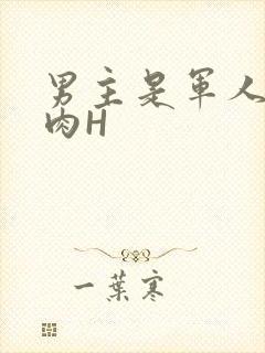 男主是军人的肉肉H
