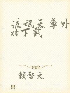 流氓天尊外传txt下载