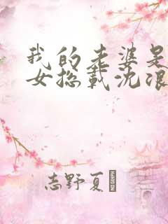 我的老婆是冰山女总载沈浪