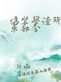 伪装学渣所有开车部分