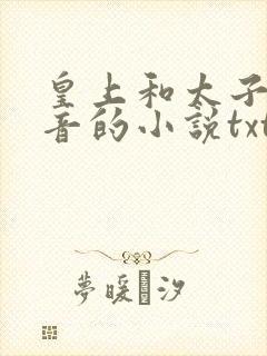 皇上和太子妃沈音的小说txt