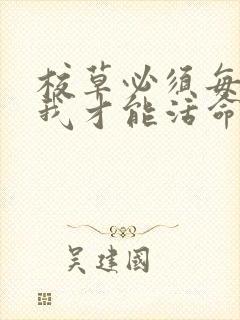 校草必须每天吸我才能活命[穿书]