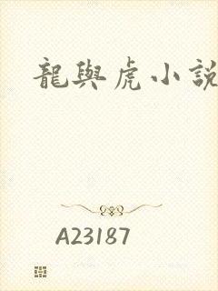 龙与虎小说