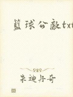 篮球公敌txt