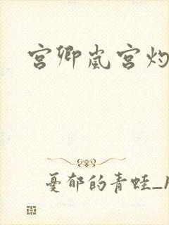 宫卿岚宫灼小说
