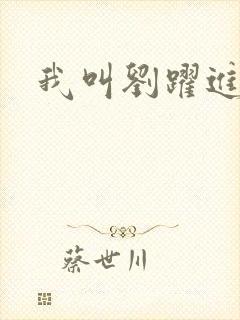 我叫刘跃进下载