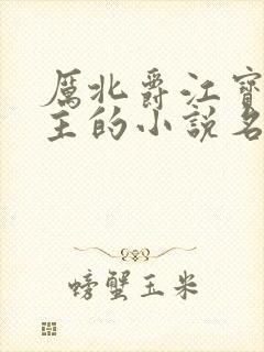 厉北爵江宝宝男主的小说名字