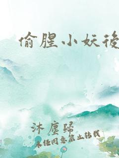 偷腥小妖后