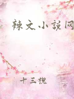辣文小说网