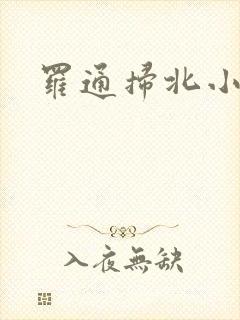 罗通扫北小说
