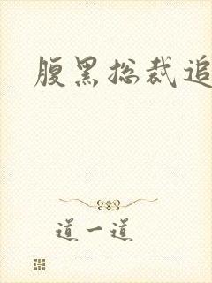 腹黑总裁追娇妻