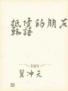 抵债的朋友麦子韩语