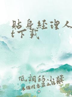 贴身经理人txt下载