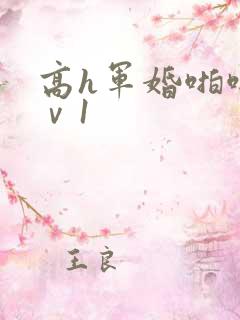 高h军婚啪啪1ⅴ1
