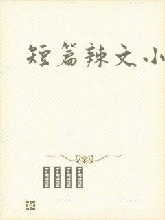 短篇辣文小说