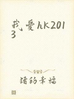 我爱hk2013