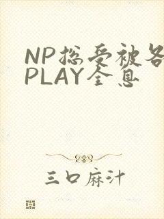 NP总受被各种PLAY全息