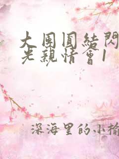 大团圆结闪闪发光亲情会1