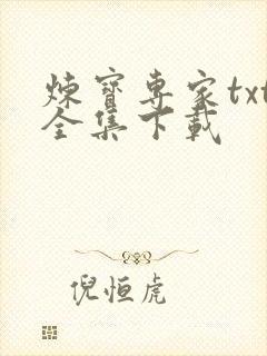 炼宝专家txt全集下载