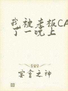 我被老板CAO了一晚上