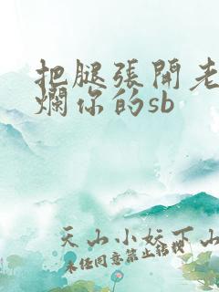 把腿张开老子臊烂你的sb