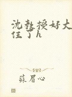 沈教授好大含不住了h