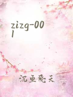 zizg-001