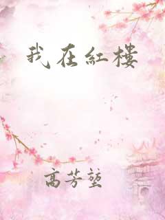 我在红楼