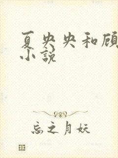 夏央央和顾祁琛小说