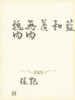 魏无羡和蓝忘机肉肉