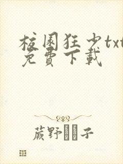 校园狂少txt免费下载