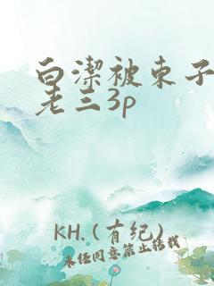 白洁被东子老二老三3p