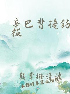 辛巴背后的人老板