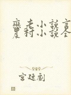 恋老小说言情网农村小说全文阅读