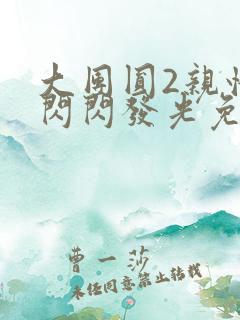 大团圆2亲情会闪闪发光免费