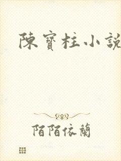 陈宝柱小说