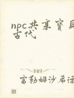 npc共享宝贝古代