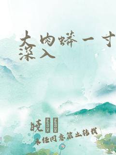 大肉蟒一寸寸地深入