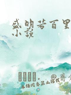 盛明若百里轻尘小说