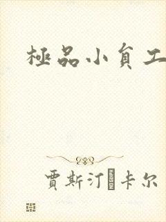 极品小员工