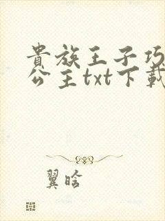 贵族王子巧遇穷公主txt下载