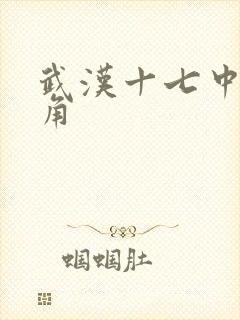 武汉十七中女主角