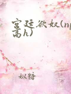 宫廷欲奴(np高h)